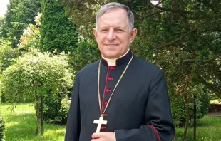 Archbishop Mieczyslaw Mokrzycki of Lviv, Ukraine. Echo Katolickie.